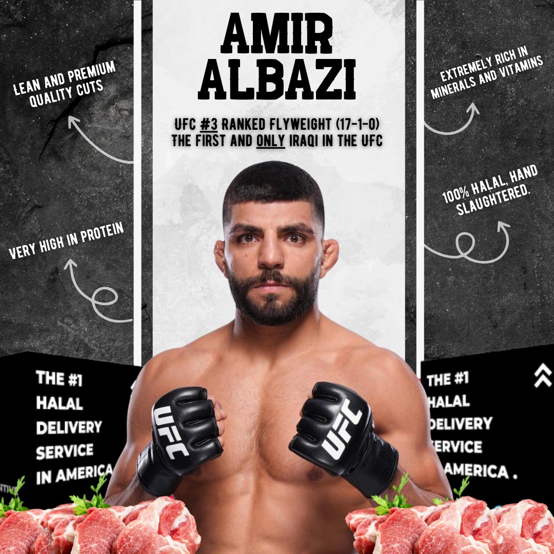 Protein Power Box - In Collaboration With UFC Top Contender Amir Albazi - HalalWorldDepot